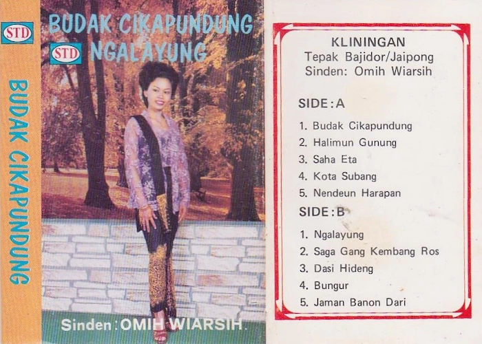 Budak Cikapundung