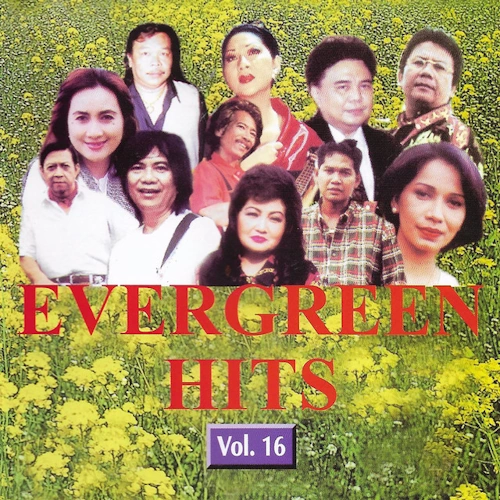 Indonesian Evergreen Hits Vol. 16
