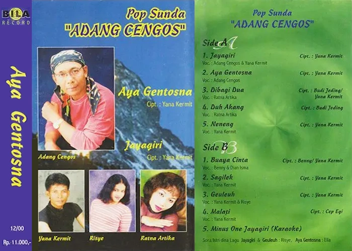 Aya Gentosna