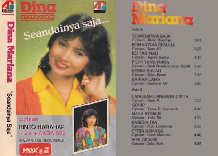 Seandainya Saja
