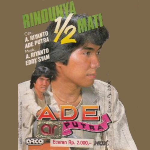 Rindunya Setengah Mati