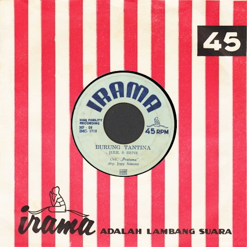 Burung Tantina / Ole Sio