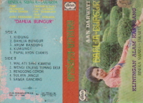 Dahlia Bungur