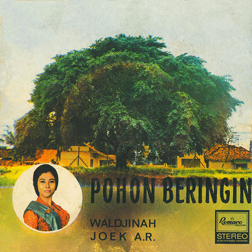 Pohon Beringin
