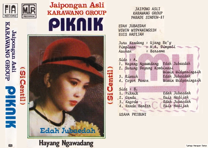 Piknik