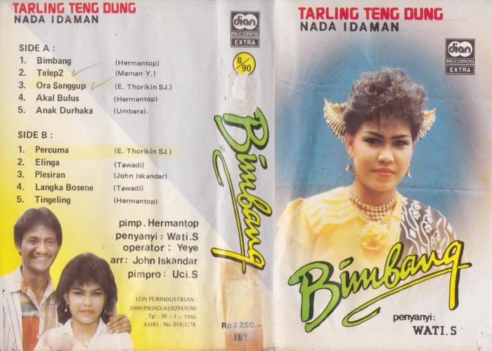 Bimbang
