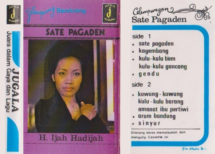 Sate Pagaden
