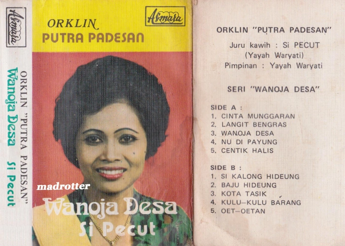 Wanoja Desa