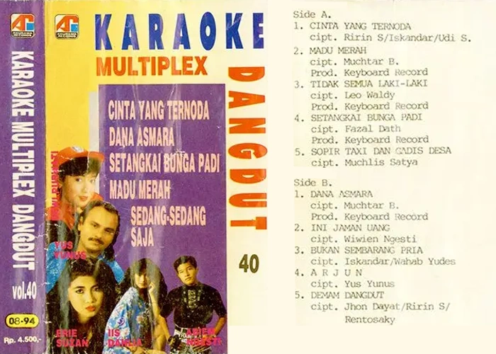 Karaoke Multiplex Dangdut