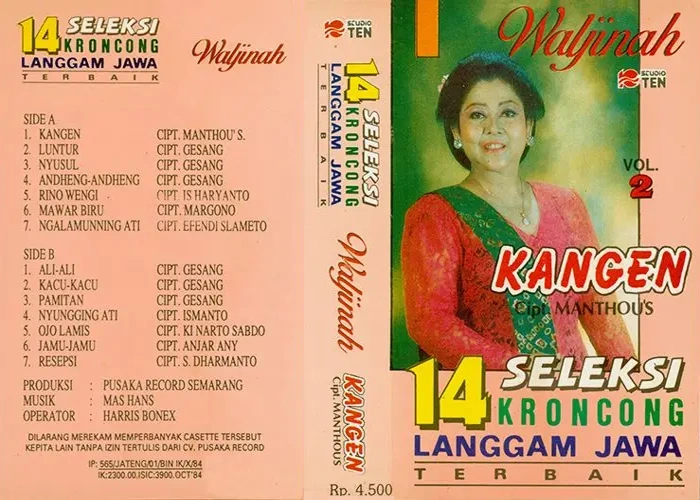 Kangen vol. 2