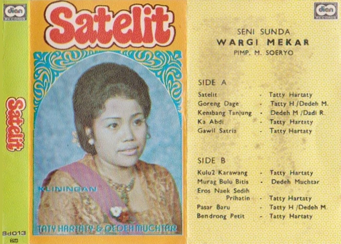 Satelit