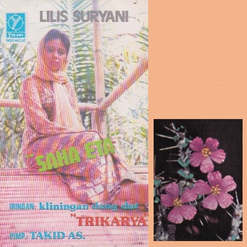 Mojang Priangan & Mojang Priangan