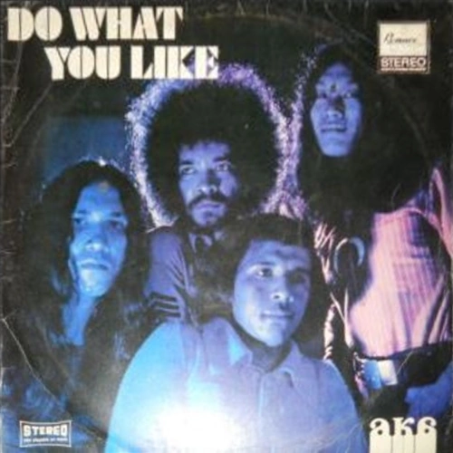 Do What You Like