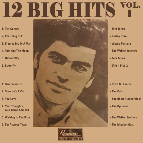 12 Big Hits Vol. 1