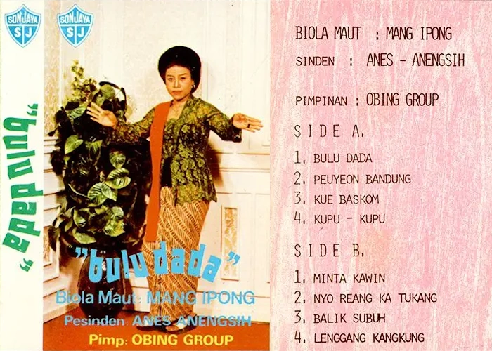 Bulu Dada