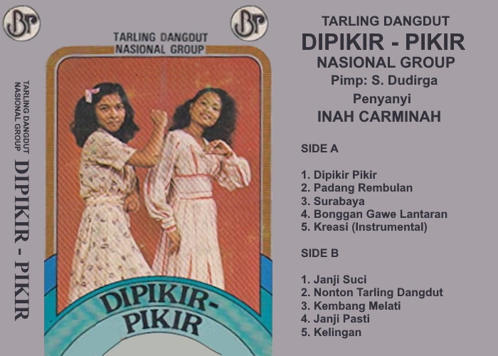 Pikir Dipikir