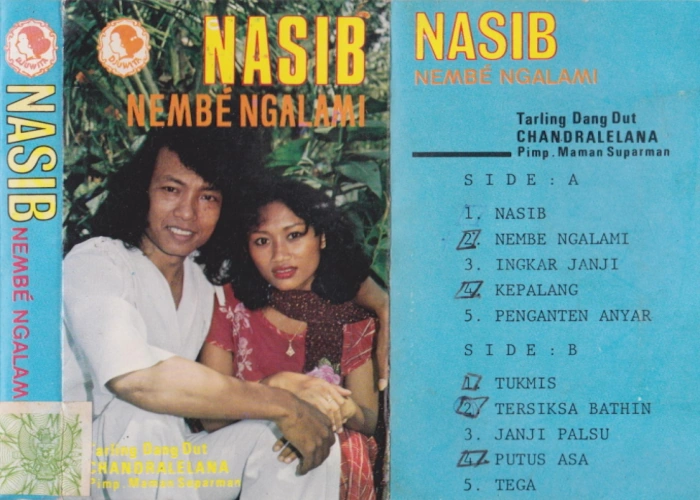 Nasib