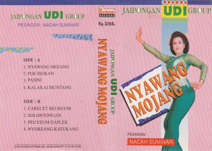 Nyawang Mojang